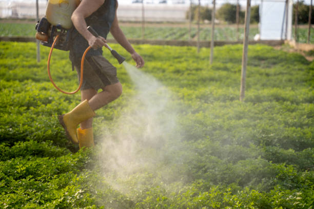 Flea Control Services in Plattsmouth, NE